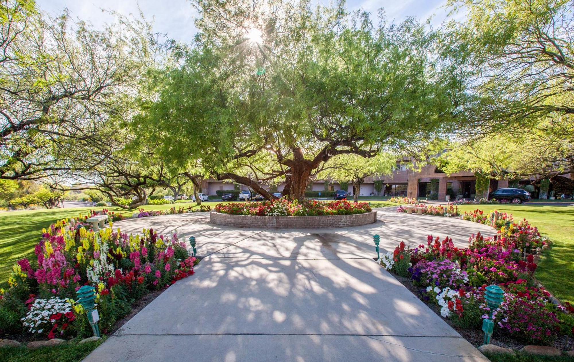 The Lodge At Ventana Canyon Tucson Ngoại thất bức ảnh