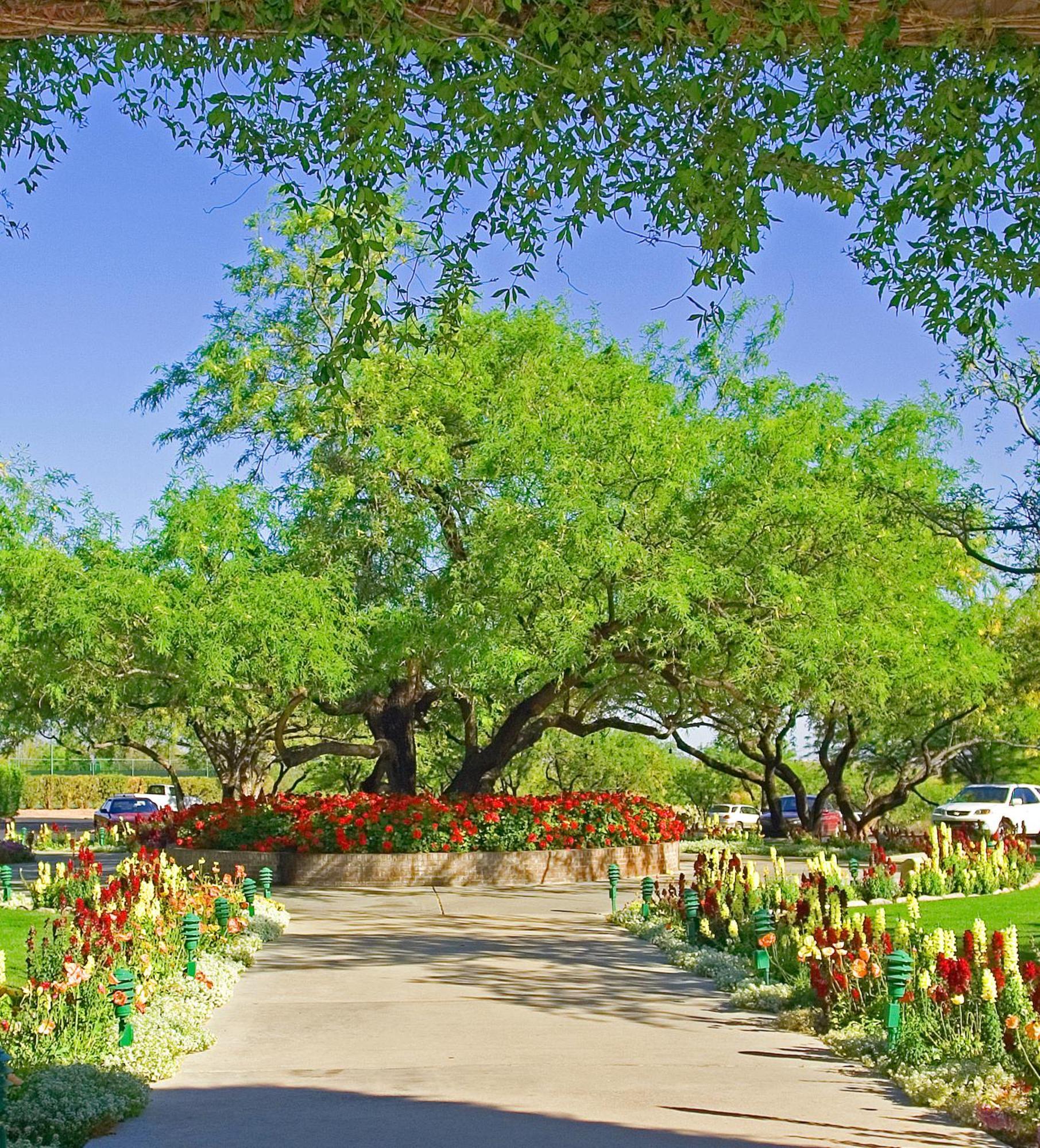 The Lodge At Ventana Canyon Tucson Ngoại thất bức ảnh